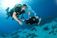 From Dubai: Discovery Scuba Diving trip in Fujairah