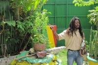 Falmouth Shore Excursion: Bob Marley Experience