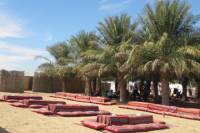 Family Desert Camp Safari and Activities from Abu Dhabi Including Dune Bashing and BBQ Dinner