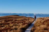 Fiordland Adventure Day Trip from Queenstown