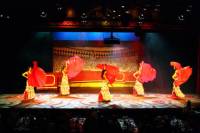 Flamenco and Opera Show with Dinner in La Siesta from Costa Brava