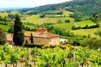 Florence to Greve in Chianti Tour with Wine Tasting Experience