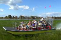 Florida Everglades Airboat Tour and Alligator Encounter with Lunch