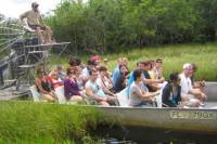 Florida Everglades Airboat Tour and Alligator Show from Fort Lauderdale