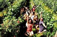 Fraser Valley Wine Tour
