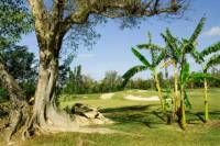 Freeport Shore Excursion: Lucayan National Park Tour