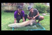 Freshwater Lake Fishing Tour from Koh Samui