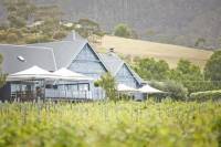 Frogmore Creek Winery by Helicopter with Optional Lunch