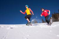 Front Range Snowshoeing Adventure from Denver
