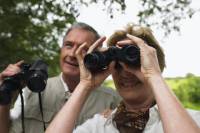 Full-Day Bird Watching Tour