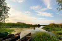 Full-Day Danube Delta Private Tour from Bucharest