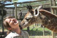 Full-Day Endangered Species Tour from Hazyview