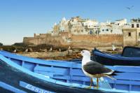 Full day excursion to Essaouira from Marrakech