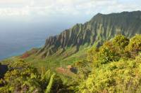 Full-Day or Half-Day Kualoa Ranch Adventure