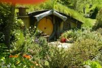 Full-Day Shore Excursion: Hobbiton and Te Puia Combo