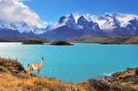 Full-Day Tour of Torres del Paine National Park from Puerto Natales