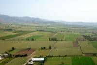 Full-Day Tour of Two Wineries in Casablanca Valley from Santiago