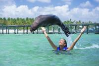 Fur Seal Encounter in Punta Cana