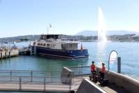 Geneva Parks and UN Segway Tour