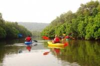 Goa Kayaking in Spike's River