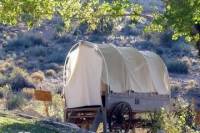 Grand Canyon North Rim Air and Ranch Tour plus Overnight