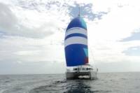 Grand Cayman Luxury Catamaran Sail to Stingray City with Snorkeling