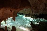 Grand Cayman Shore Excursion: West Bay Tour by Land Rover