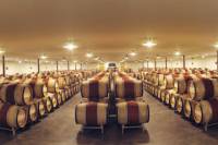 Grands Crus Classés de Graves Wine Tour and Lunch from Bordeaux