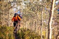 Guided Mountain Biking Adventure from Whitehorse