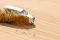 Half Day Desert Safari