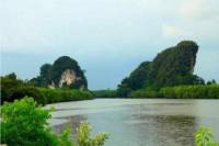Half-Day Krabi Culture and Mangrove