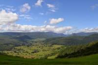 Half-Day Mount Tamborine Tour by Luxury 4WD from the Gold Coast