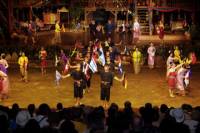 Half-Day Rose Garden Visit and Cultural Show from Bangkok