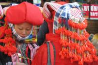 Half-Day Sapa Trek Including Lunch