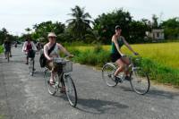 Half -Day Tra Que Herbal Village Tour from Hoi An