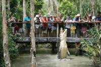 Hartley's Crocodile Adventure Half-Day Tour