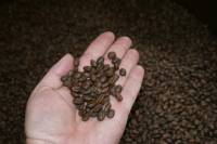 History and Tasting Coffee Tour in Bogotá
