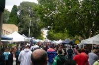 Hobart Half-Day Sightseeing Coach Tram Tour