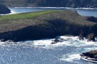 Hobart Shore Excursion: Bruny Island Day Trip
