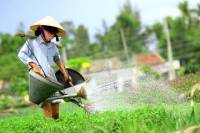 Hoi An Countryside Bike Day Trip
