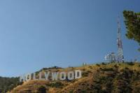 Hollywood Transfer