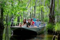 Honey Island Swamp Tour With Transport