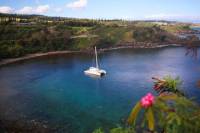 Honolua Bay Snorkel Sail