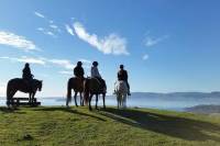 Horse Trekking from Rotorua