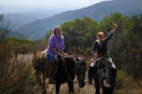 Horseback Riding Adventure in the Chilean Countryside