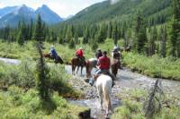 Horseback-Riding Tour in Banff with BBQ Lunch