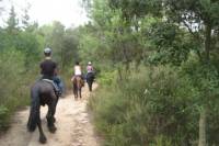 Horseback Riding Tour in Natural Park from Barcelona