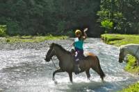 Horseback River Tour in Jaco