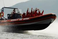 Howe Sound Sea Safari Cruise