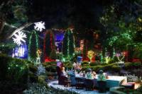 Hunter Valley Gardens Christmas Lights Spectacular from Sydney